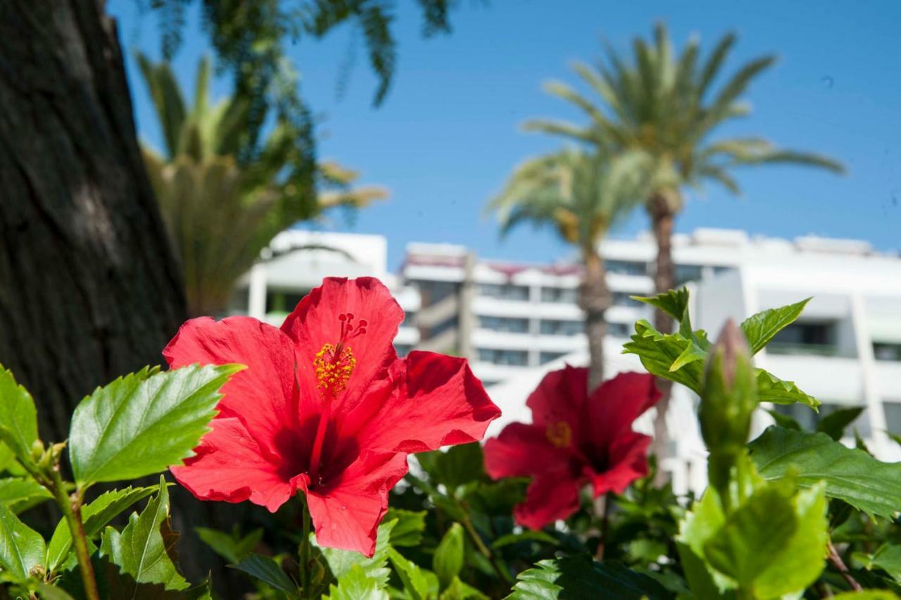 Appartamento Optimist 1 Playa de las Americas  Esterno foto